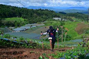 BIB: 
                            <button type="button" onclick="openModal(13379193)" class="btn btn-primary btn-sm float-right btn-popup" data-toggle="modal" data-target=".modal-high-quality">
                        <i class="fas fa-shopping-cart"></i> Add to Cart
                    </button>
                                            <button type="button" onclick="isThisMe(13379193, true)" class="btn btn-success btn-sm float-right btn-popup btn-isme hidden" data-toggle="tooltip" data-placement="bottom" title="นี่คือรูปของคุณใช่ไหม คลิกที่นี่เพื่อเอาเข้าอัลบั้ม">
                        <i class="fas fa-plus"></i> Add to album
                    </button>
                    <button type="button" onclick="isThisMe(13379193, false)" class="btn btn-warning btn-sm float-right btn-popup btn-isnotme hidden">
                        <i class="fas fa-ban"></i> Remove from album
                    </button>